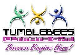 Tumblebees Ultimate Gym Greensboro Summer Camps
